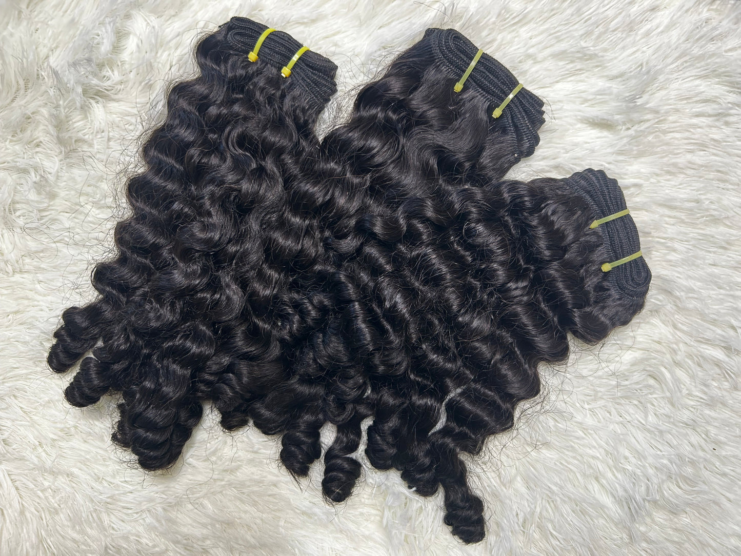 BURMESE CURLY | Pre-order