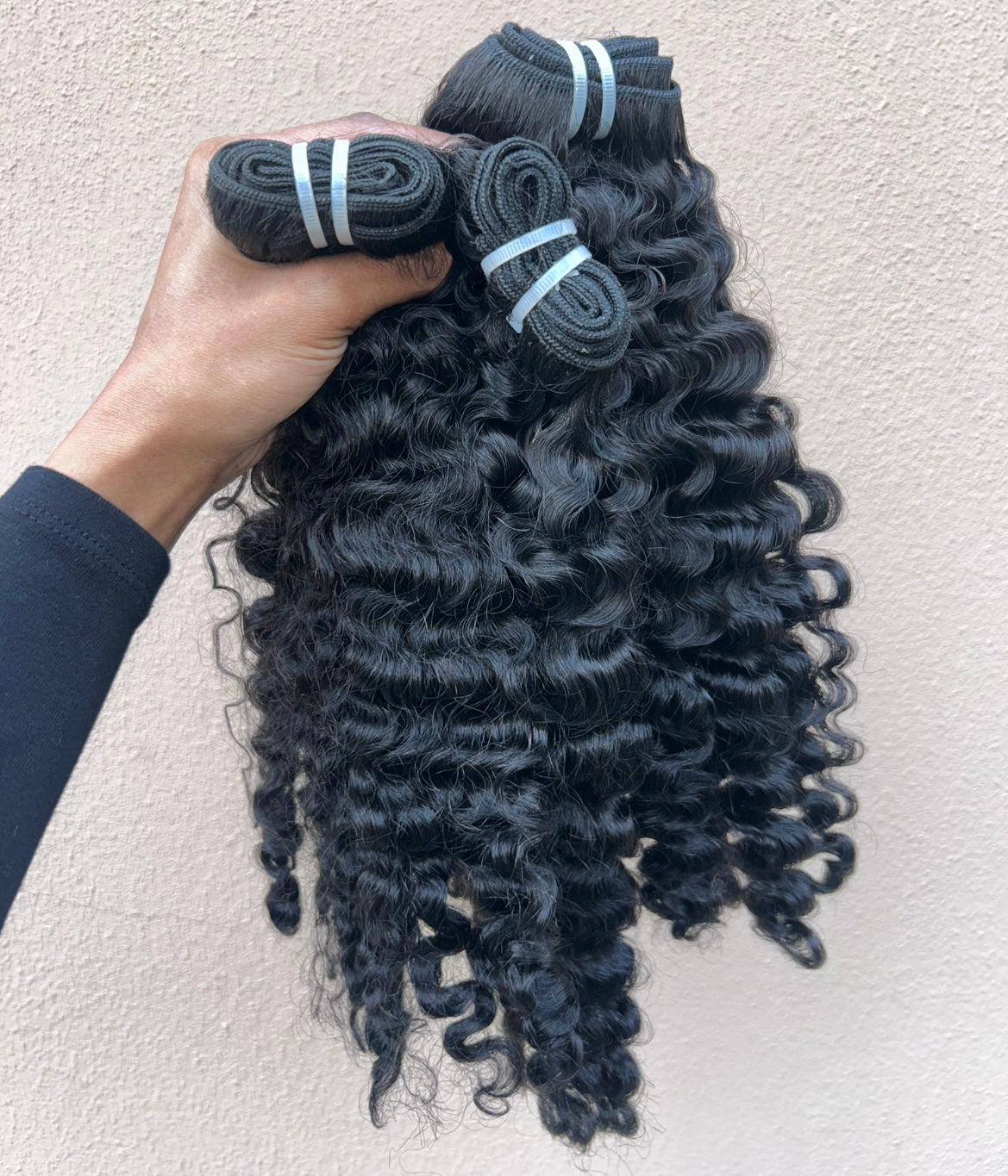BURMESE CURLY | Pre-order