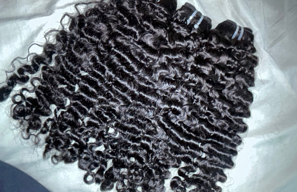 BURMESE CURLY | Pre-order
